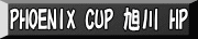 PHOENIX CUP  HP