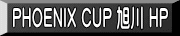 PHOENIX CUP ���� HP