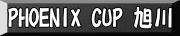 PHOENIX CUP 